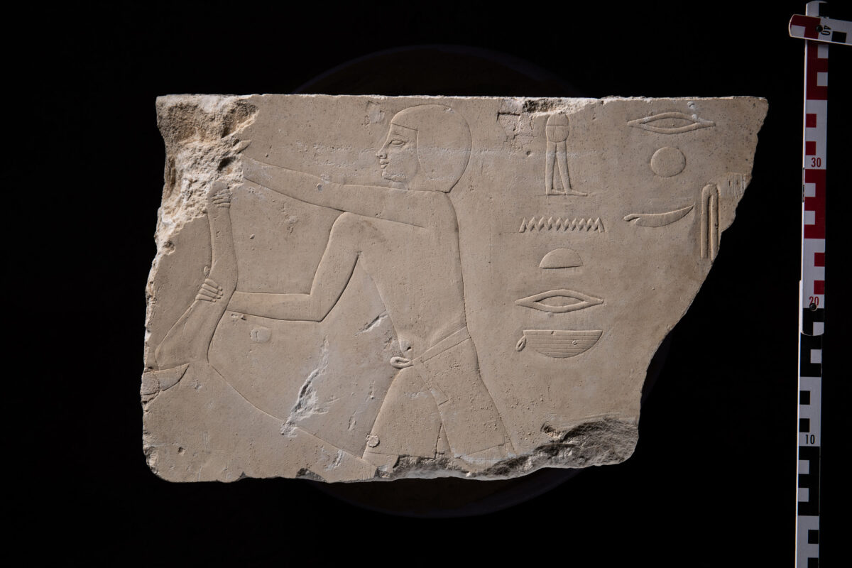 Part of a scene showing butchers preparing oxen sacrifices. The scene originally decorated the above-ground part of the adjacent tomb of General Menekhibnekau, but was found in the access shaft of the royal scribe Djhehutiemhat. Credit: Petr Košárek, © Czech Institute of Egyptology.