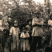 First large-scale investigation into the eating habits of the Guarani