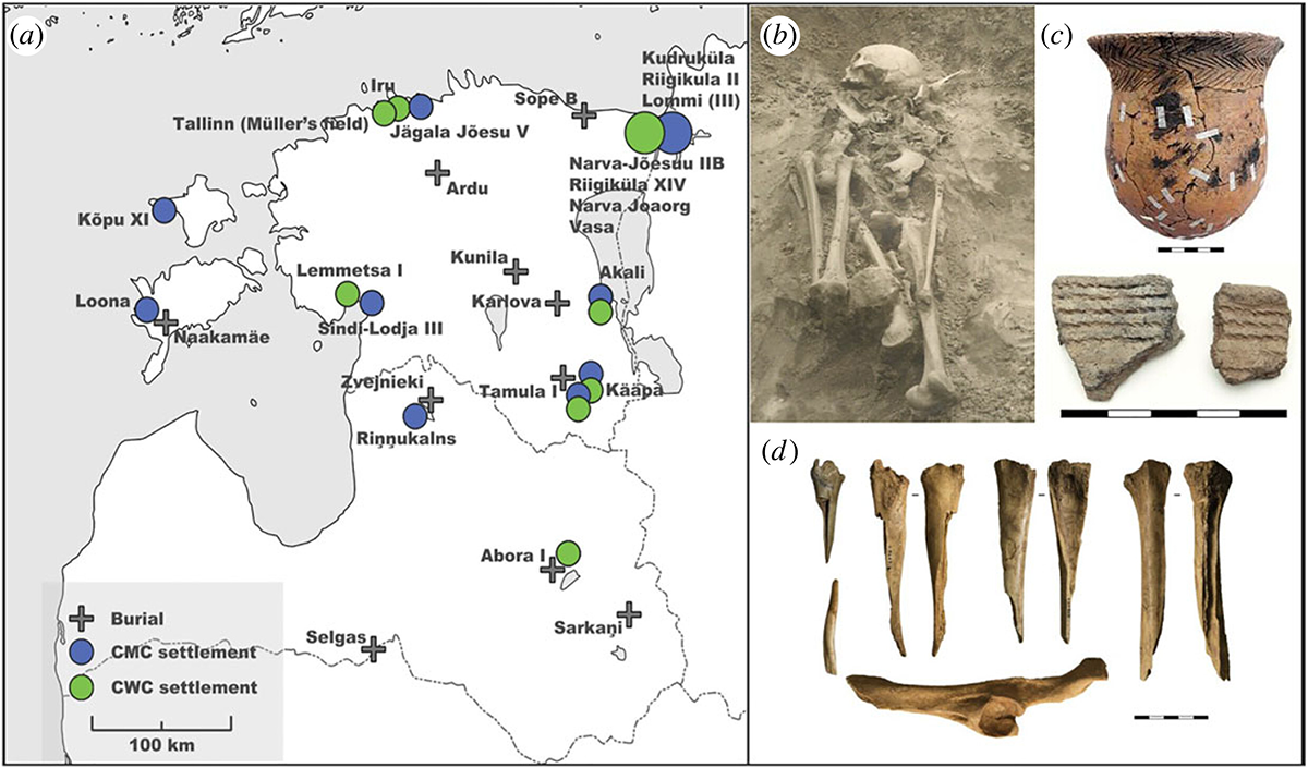 a) Map of the analysed sites in this study, and (b) an example of a CWC burial Sope B I, Estonia. (c) Examples of CWC pottery: a beaker from the Narva-Jõesuu IIB burial ground (Estonia) and two fragments of Estonian-type Corded Ware pots from the Lemmetsa I settlement (Estonia) and (d) early domesticates' bones found as grave goods from the Sope B I burial. Note that the Abora I settlement also includes other Porous and Lubāna pottery types besides the CWC vessels.