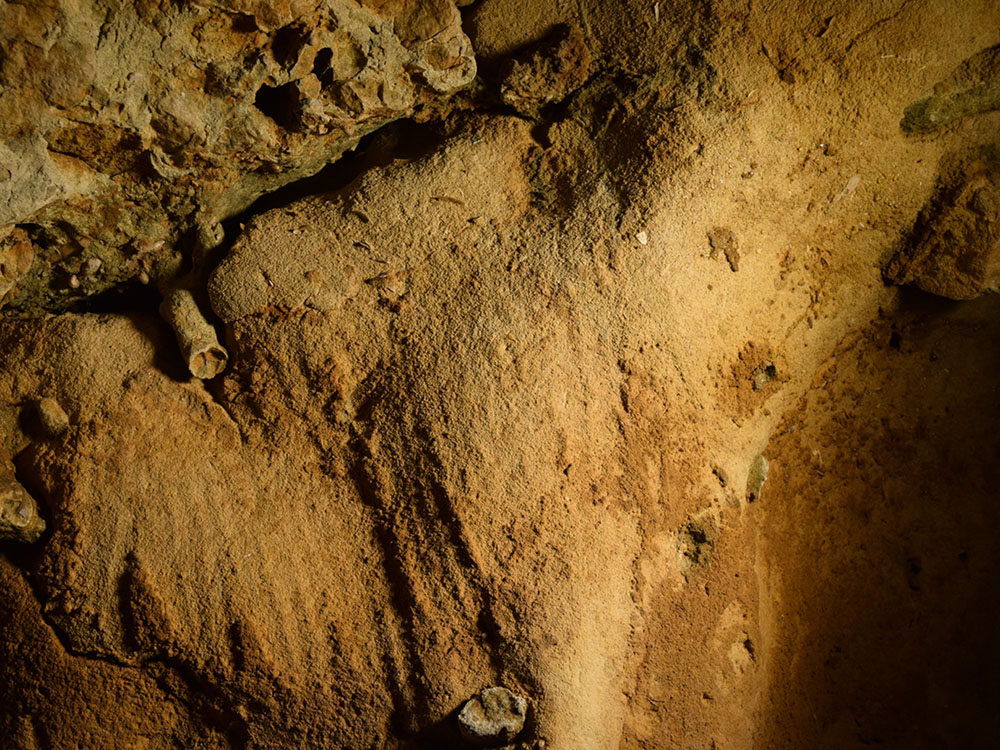 Wall traces of Neanderthals in the caves of La Roche-Cotard.