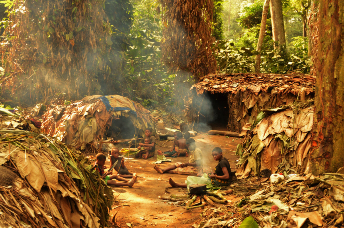 A Mbendjele camp in the Congo rainforest. Credit: Dr Nikhil Chaudhary