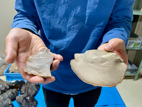 An archaeologist, Eiki Suga, showing fine-grained flint (left) and middle-grained flint (right). Credit: Megumi Maruyama