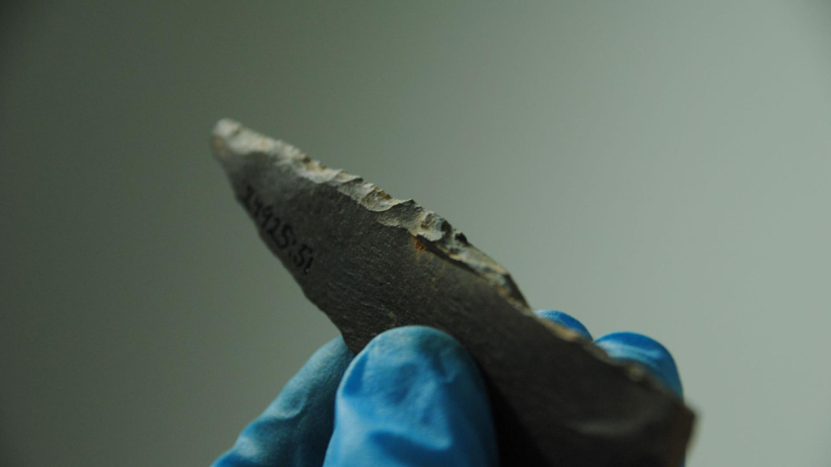 Found in the excavations in 1989, the saw-toothed stone knife is now in the archaeological collections of the Finnish Heritage Agency. Photo: Aki Hakonen