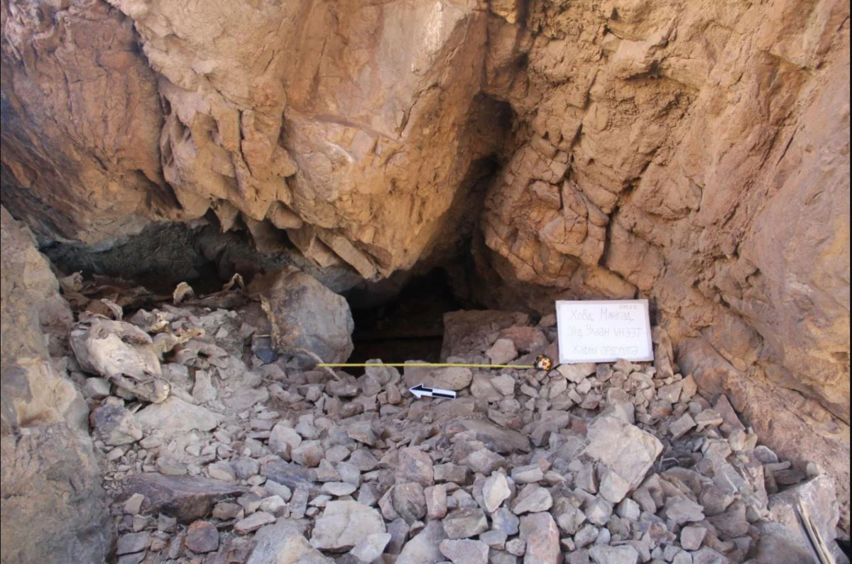 The mummified remains of a horse found in the Urd Ulaan Uneet cave site. (Credit: Jamsranjav Bayarsaikhan)