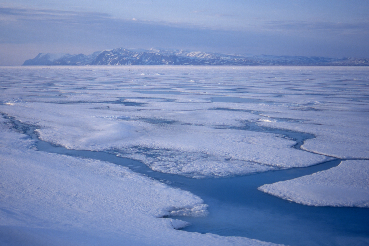 Sea ice at Nunavut, Canada.
Credit: Grid-Arendel CC-BY-NC-SA