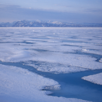 North America’s first people may have arrived by sea ice highway
