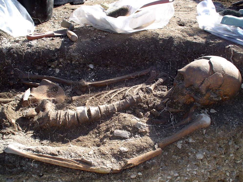 A 2000-year-old Sambaqui skeleton on the coast of Brazil (Image: Jose Filippini)