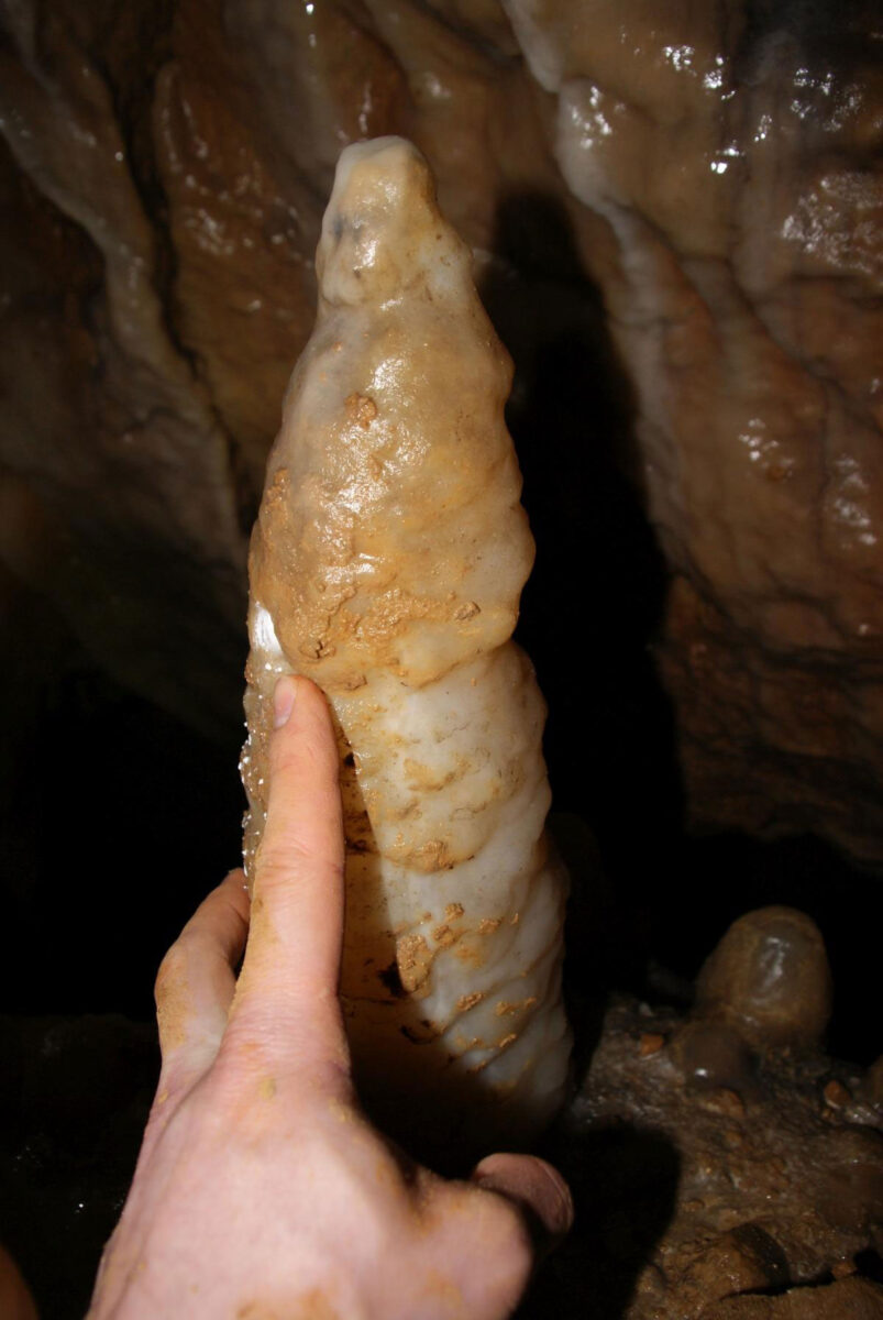 Stalagmite KTH2 inside the “Teufelshöhle”. The top centimetre contains information on the climatic conditions over the past 1,000 years. | © KIT (taken as part of the HEiKA Project Check Extrema)