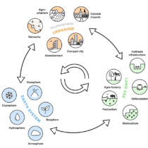 Urban planning, policy and predictions in the Anthropocene