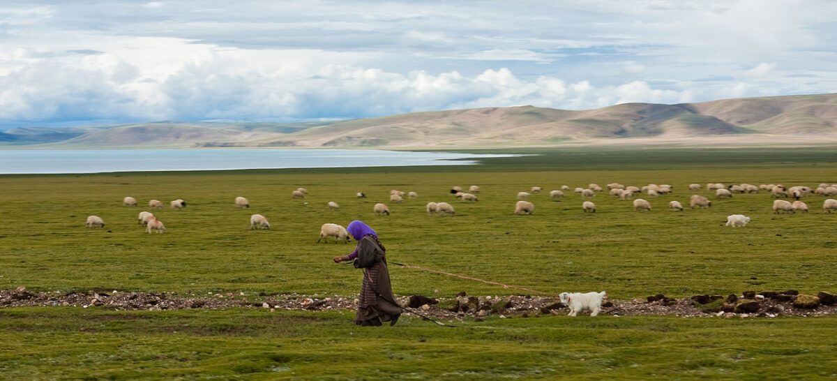 A woman near Namtso, Tibet, 2009. Author: Antoine Taveneaux. This file is licensed under the Creative Commons Attribution-Share Alike 3.0 Unported