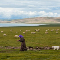 Prehistoric mobility among Tibetan farmers