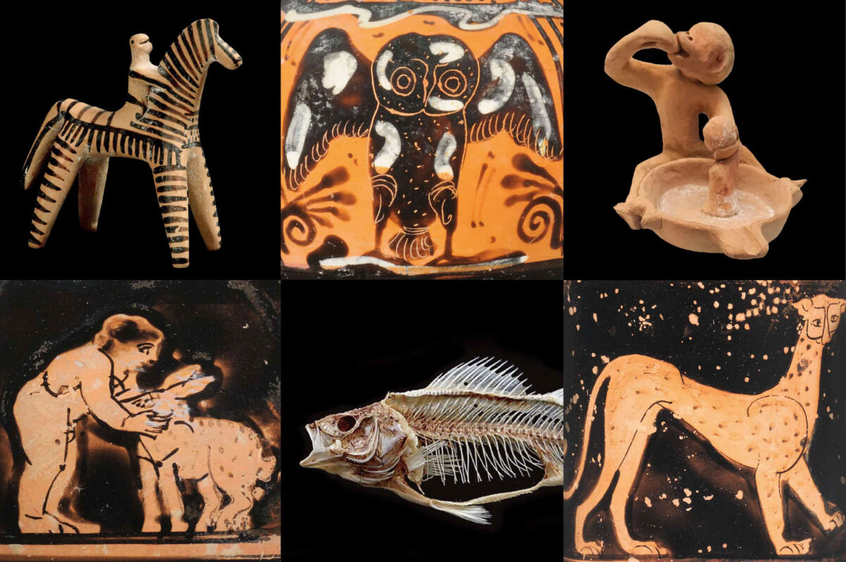Humans and animals in Antiquity