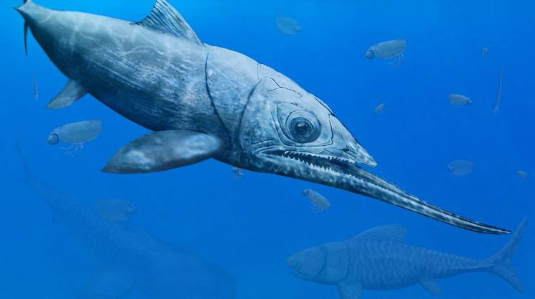 Polish scientists discover unusual fish from 365 million years ago