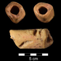 Oldest known bead in the Americas discovered