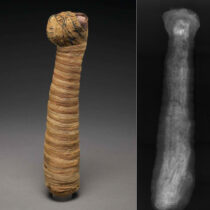 Animal mummies: from beliefs to practice