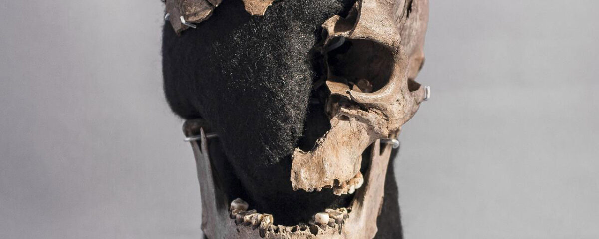 In northern Europe, people have been found in marshes and wetlands. Vittrup Man was found in 1915 and his remains are now in Vendsyssel Historical Museum. Photo: Foto: Stephen Freiheit