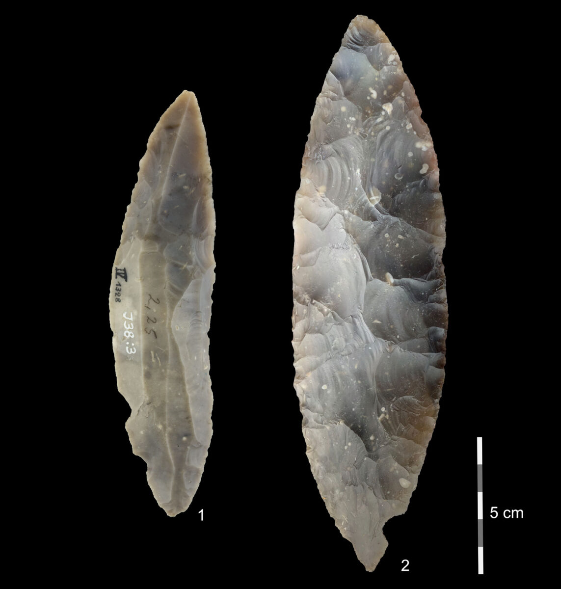 Stone tools from the Lincombian–Ranisian–Jerzmanowician technocomplex at Ranis. The partial bifacial blade point (left) is characteristic of the stone tools produced by hominids, now identified as modern humans, who occupied the Ranis cave. Stone tools like this are found at several sites across northwestern Europe, though excavations at Ranis in the 1930s also uncovered finely made bifacial leaf points (right) made by the same cultural group. © Josephine Schubert, Museum Burg Ranis, License: CC-BY-ND 4.0