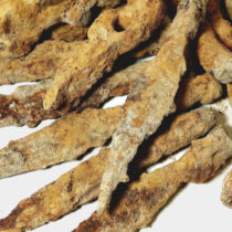 Weapons of barbarian tribes from Roman times discovered