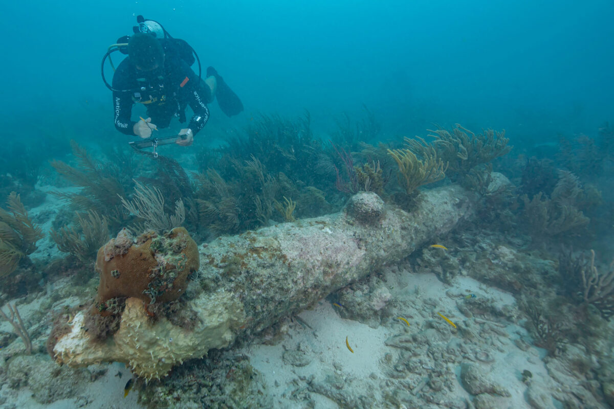 A National Park Service diver documents one of five coral-encrusted cannons found during a recent archeological survey in Dry Tortugas National Park. NPS Photo by Brett Seymour