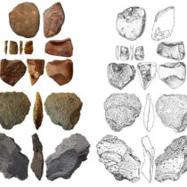 The first humans came to Europe 1.4 million years ago via Ukraine