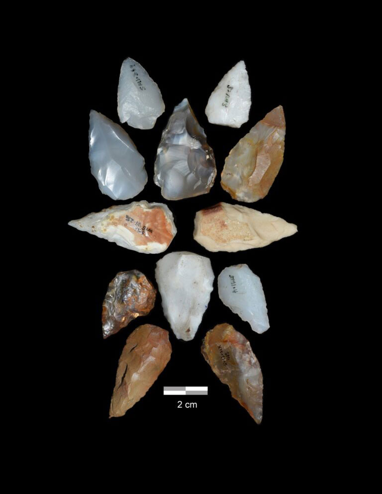 Volcanic supereruption facilitated human dispersal Out of Africa?