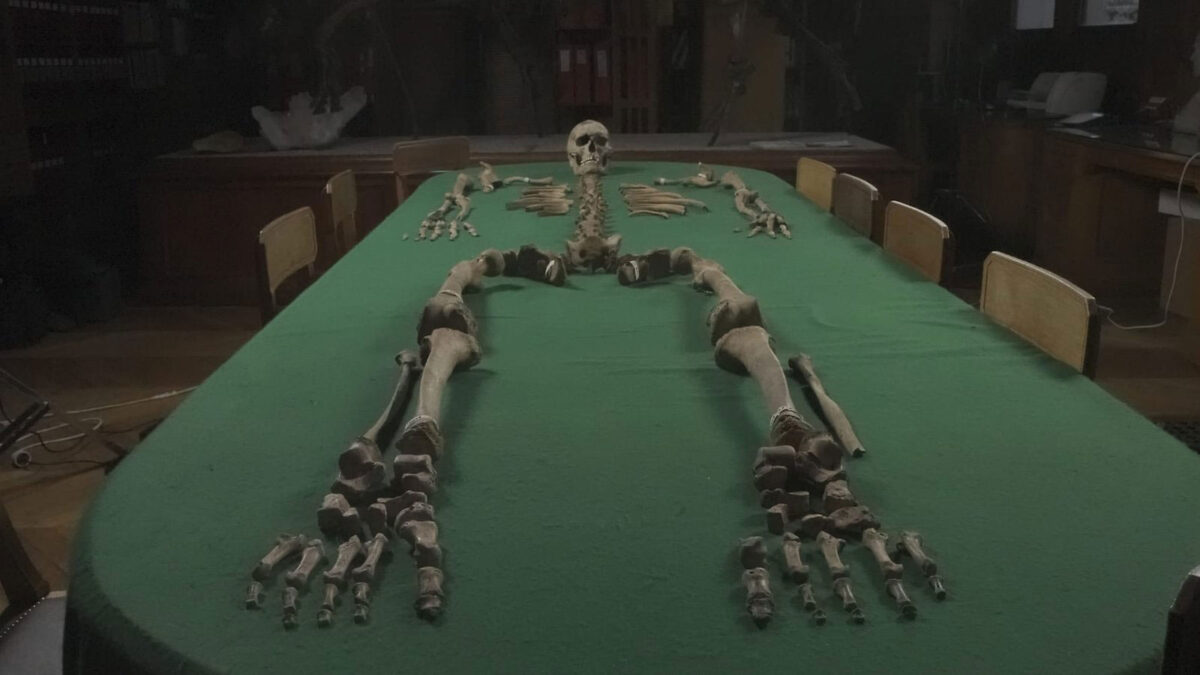 In the study, the researchers have succeeded in obtaining biomolecular data from human skeletons buried at iconic sites in France, such as Téviec and Hoedic in Brittany, as well as Champigny. 