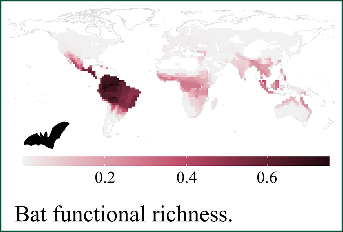 Ancient isolation’s impact on modern ecology