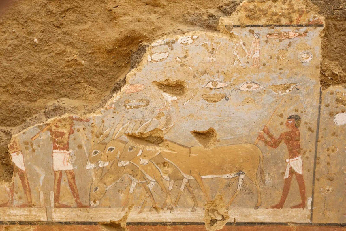 Detail from pictorial decoration at the Old Kingdom mastaba found at Dahshur  Source MoTA Egypt.