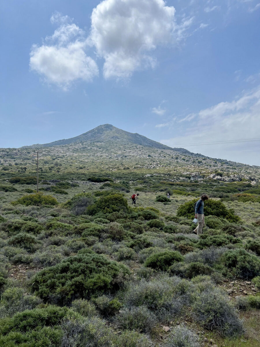 Surface survey in the surrounding area of Mount Ellanio with the peak in the background. Image source: Ministry of Culture and Sports