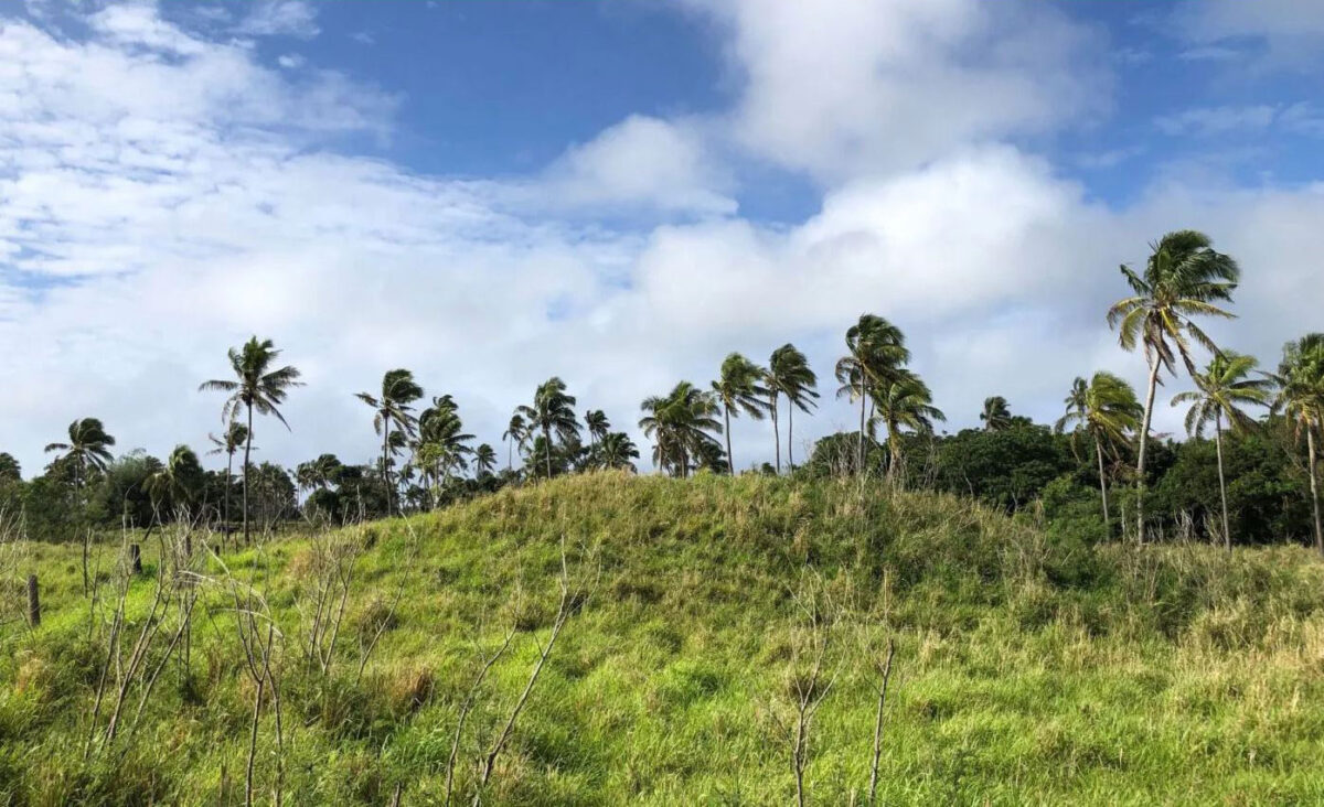 Earth structures were being constructed on Tongatapu around AD 300. Photo: Phillip Parton/ANU