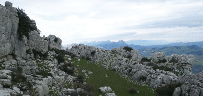 The early herding communities of the Southern Iberian Peninsula