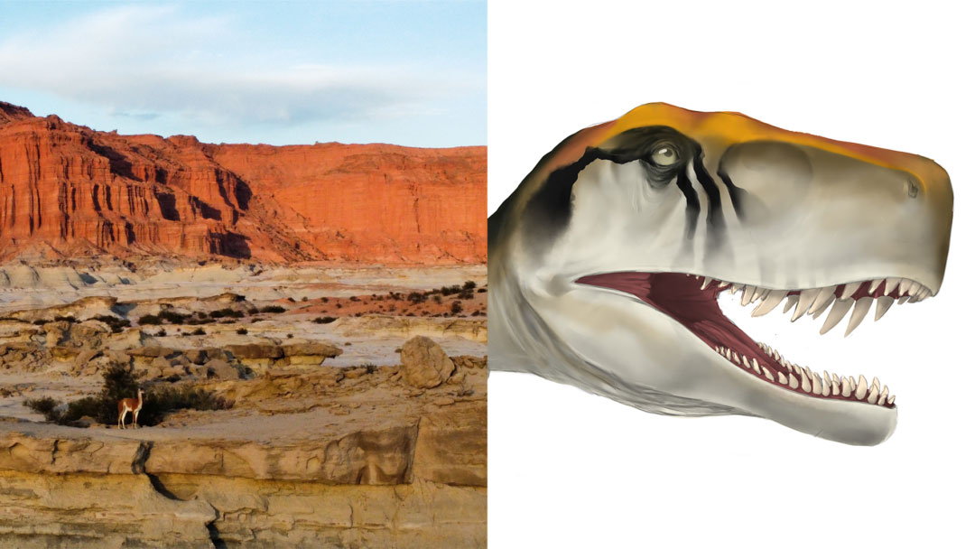 The first-ever look at growth rates in the oldest-known dinosaurs