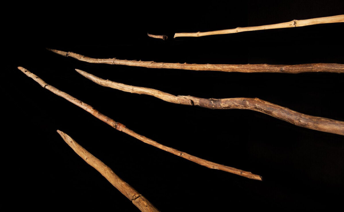 Spears from Schöningen in the exhibition at the Forschungsmuseum Schöningen. Photo: Volker Minkus/MINKUSIMAGES, NLD