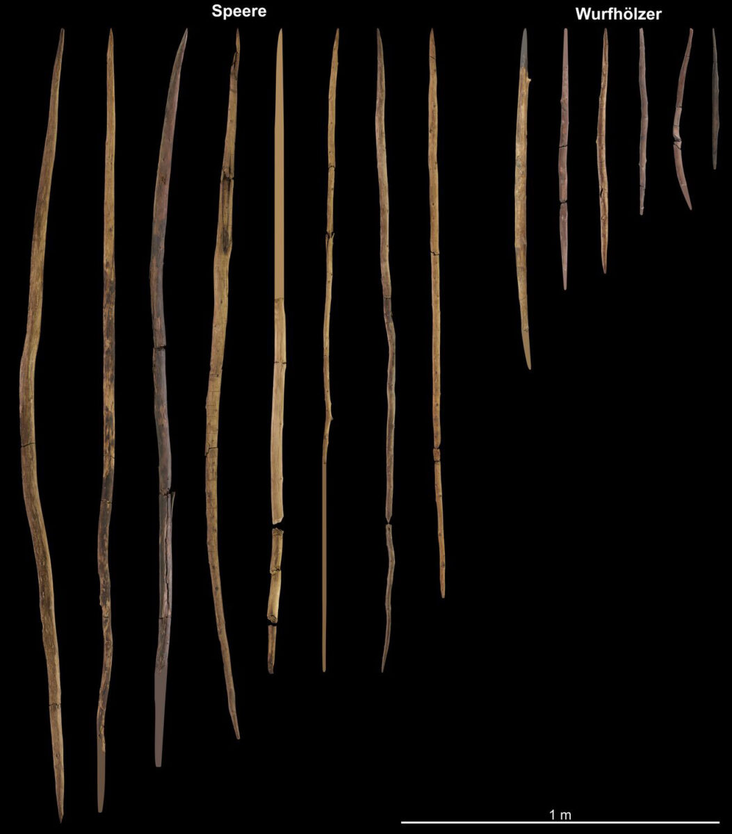 Finds at Schöningen show wood was crucial raw material 300,000 years ago