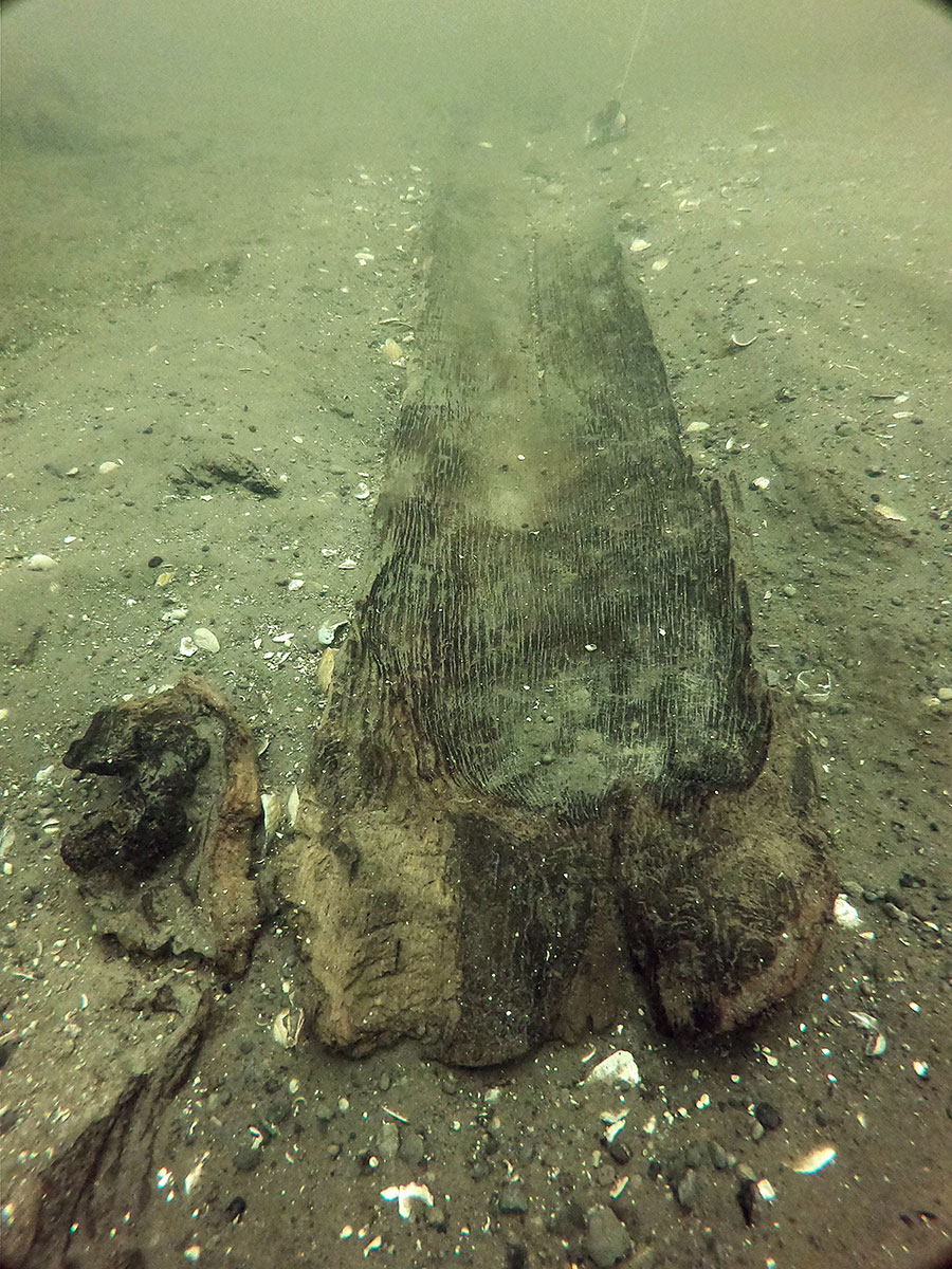 Wisconsin Historical Society announces cache of ancient canoes