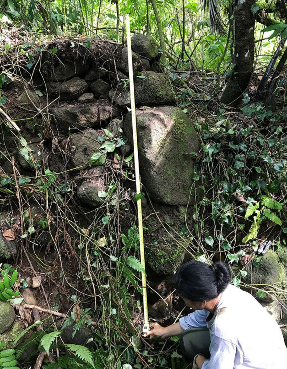 Rare Sāmoan discovery offers clues to origins of inequality