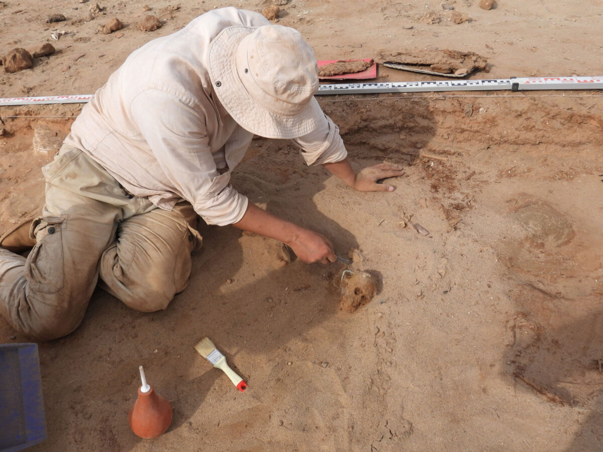 Graves of monkeys and calves in ancient animal cemetery in Egypt