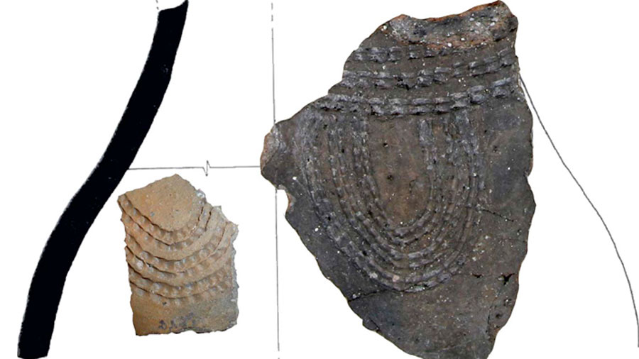 Dairy consumption in the Pyrenees in the Early Neolithic