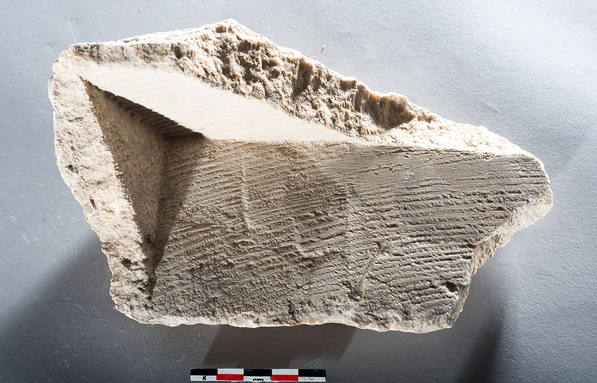Insight into the world of the ancient Romans