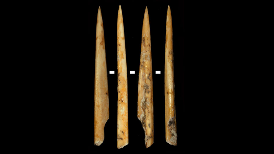 Early Neolithic groups applied species selection strategies