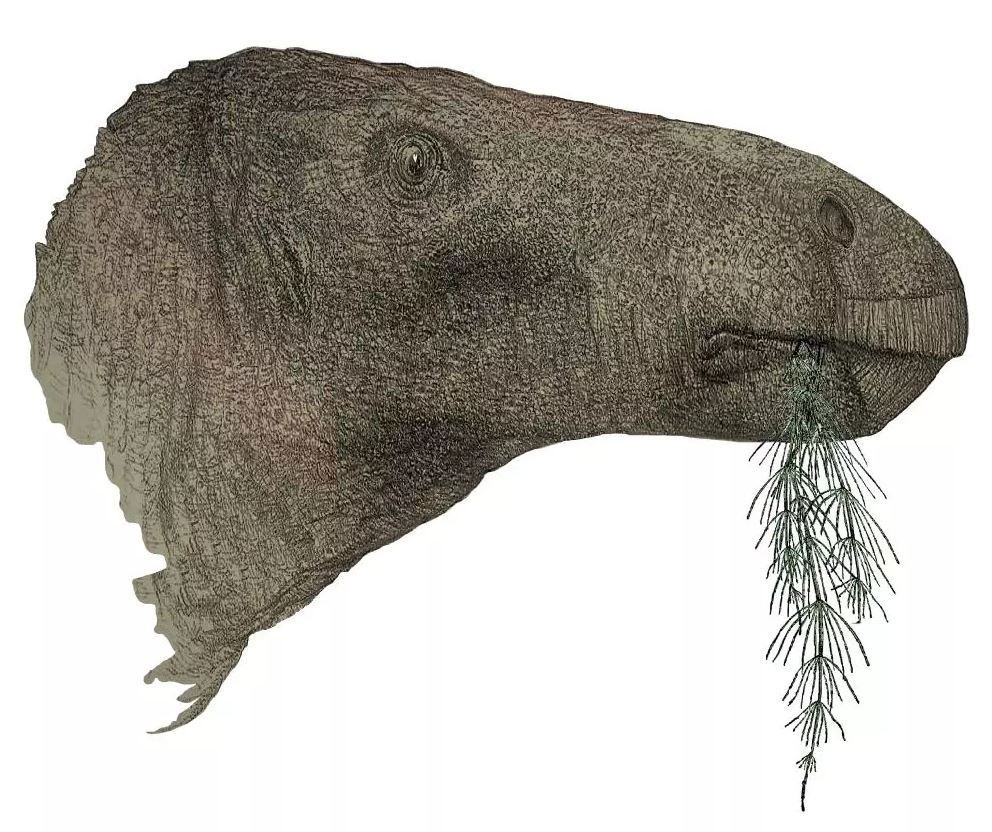 The most complete dinosaur discovered in the UK in a century