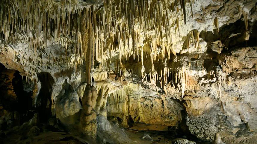 Archaeologists find more prehistoric artefacts in Raj Cave