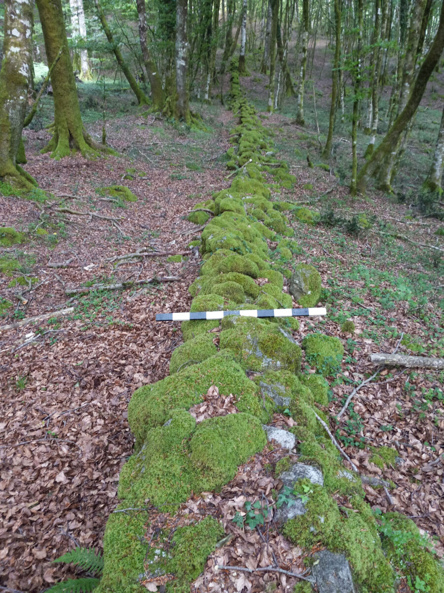 Wall Built To Contain Spartacus Discovered