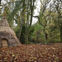 Hunter-gatherers kept an ‘orderly home’
