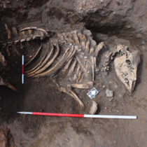 Discoveries during work on 32 Stodman Street