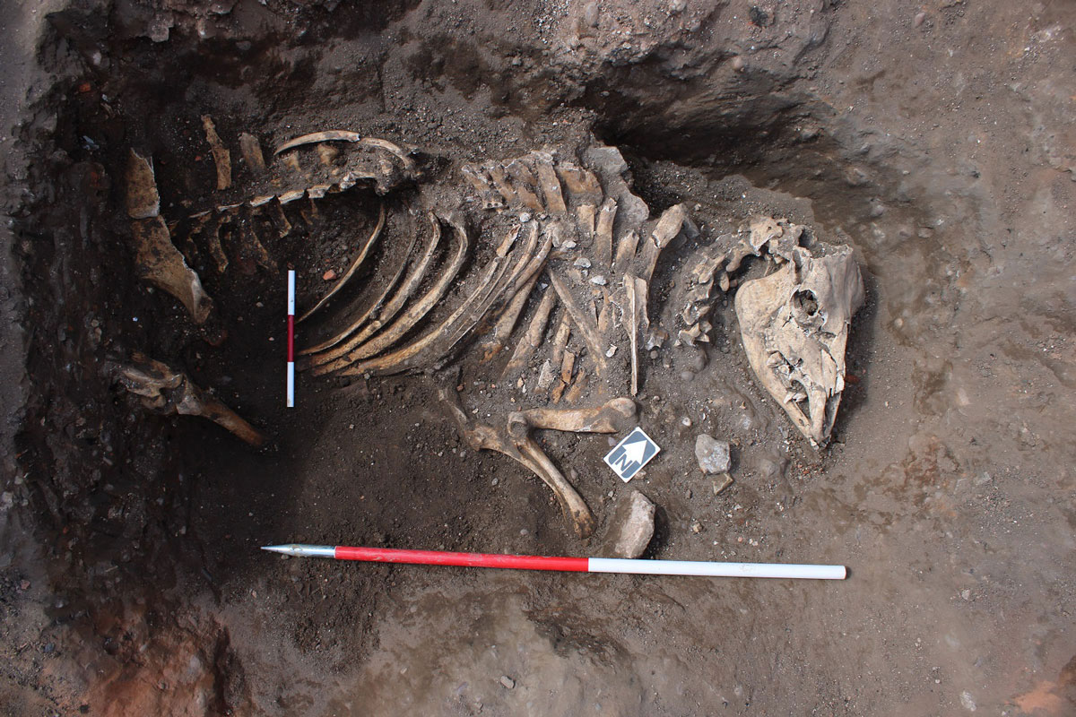 Discoveries during work on 32 Stodman Street