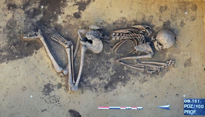 Spectacular archaeological discovery in Kazimierza Wielka