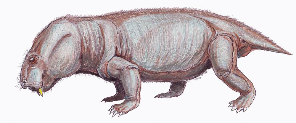 Fossils may have inspired mysterious SA cave painting