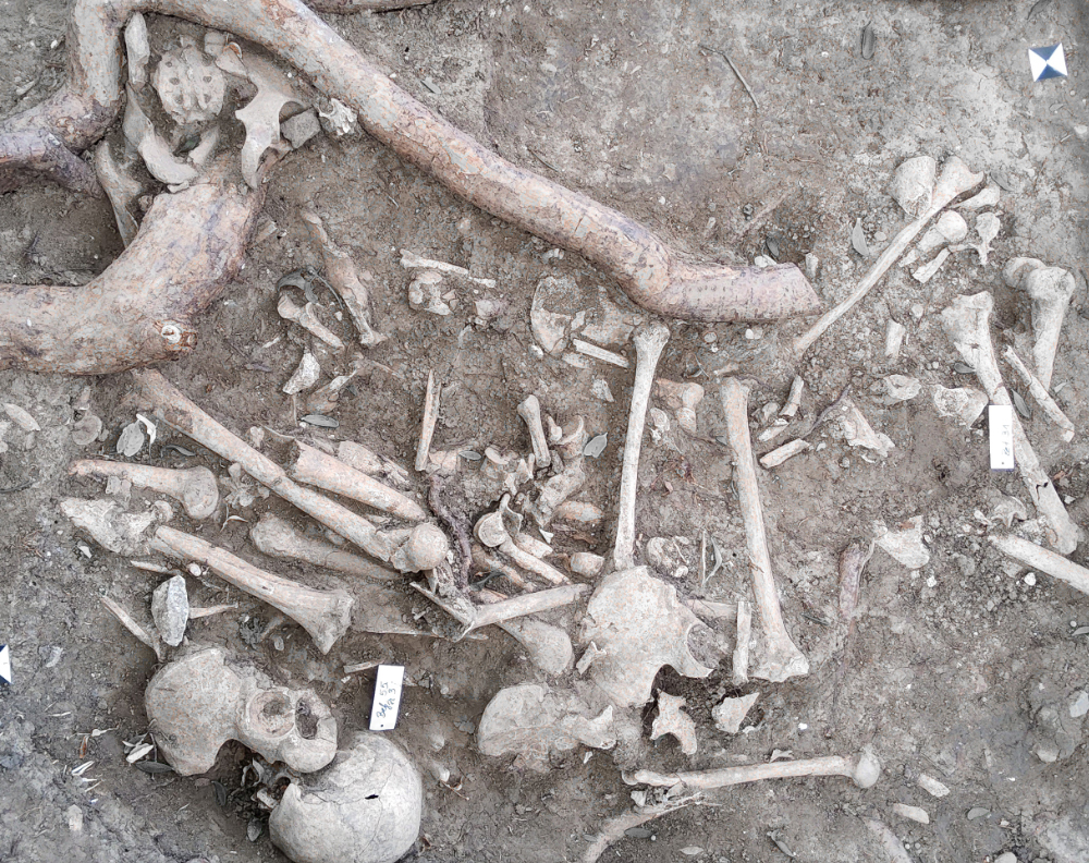 Interesting insights into the routines of an early execution site