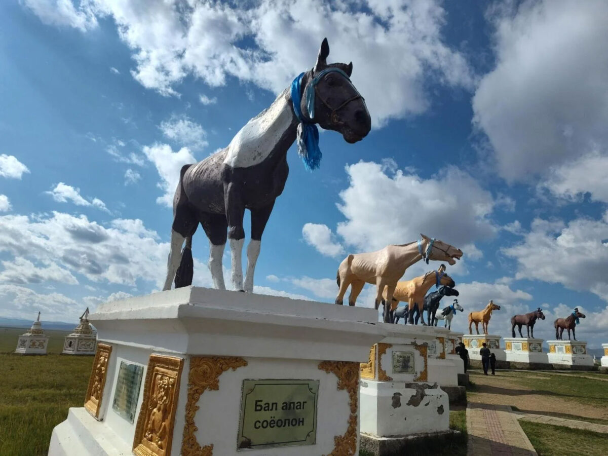 Scientists explore origins of horseback riding